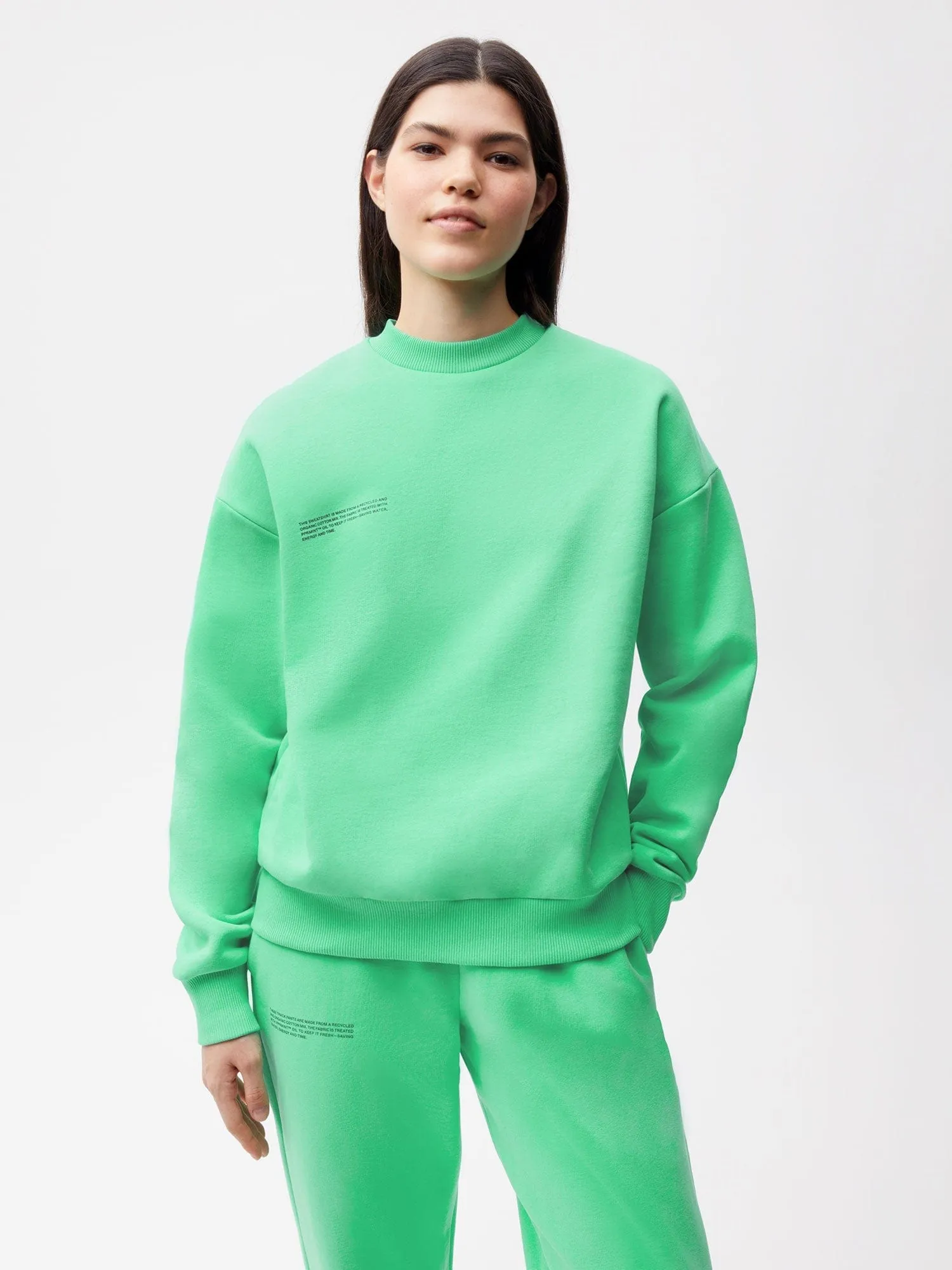 365 Heavyweight Sweatshirt—spearmint green