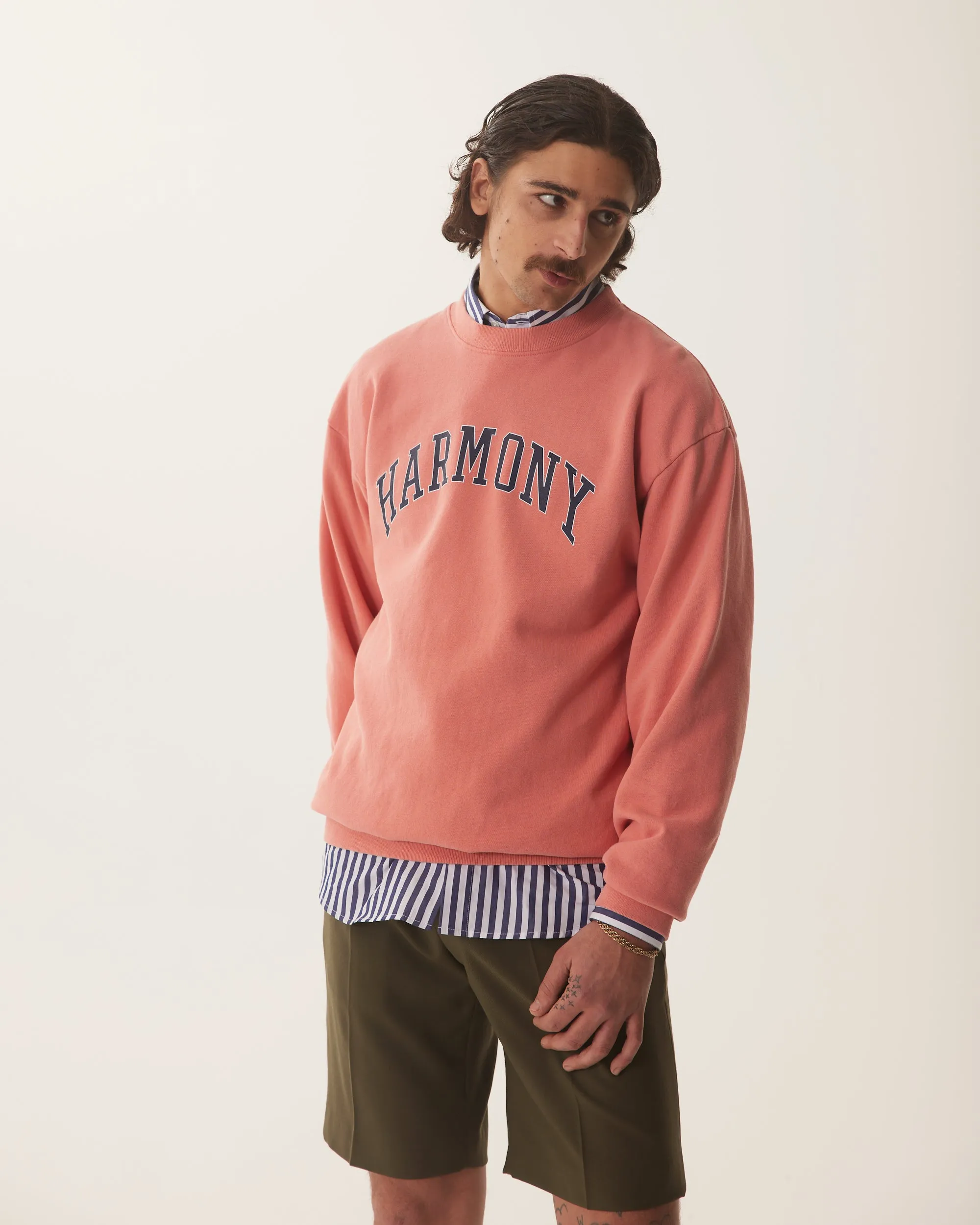 Sael University - Cranberry - Cotton Jersey