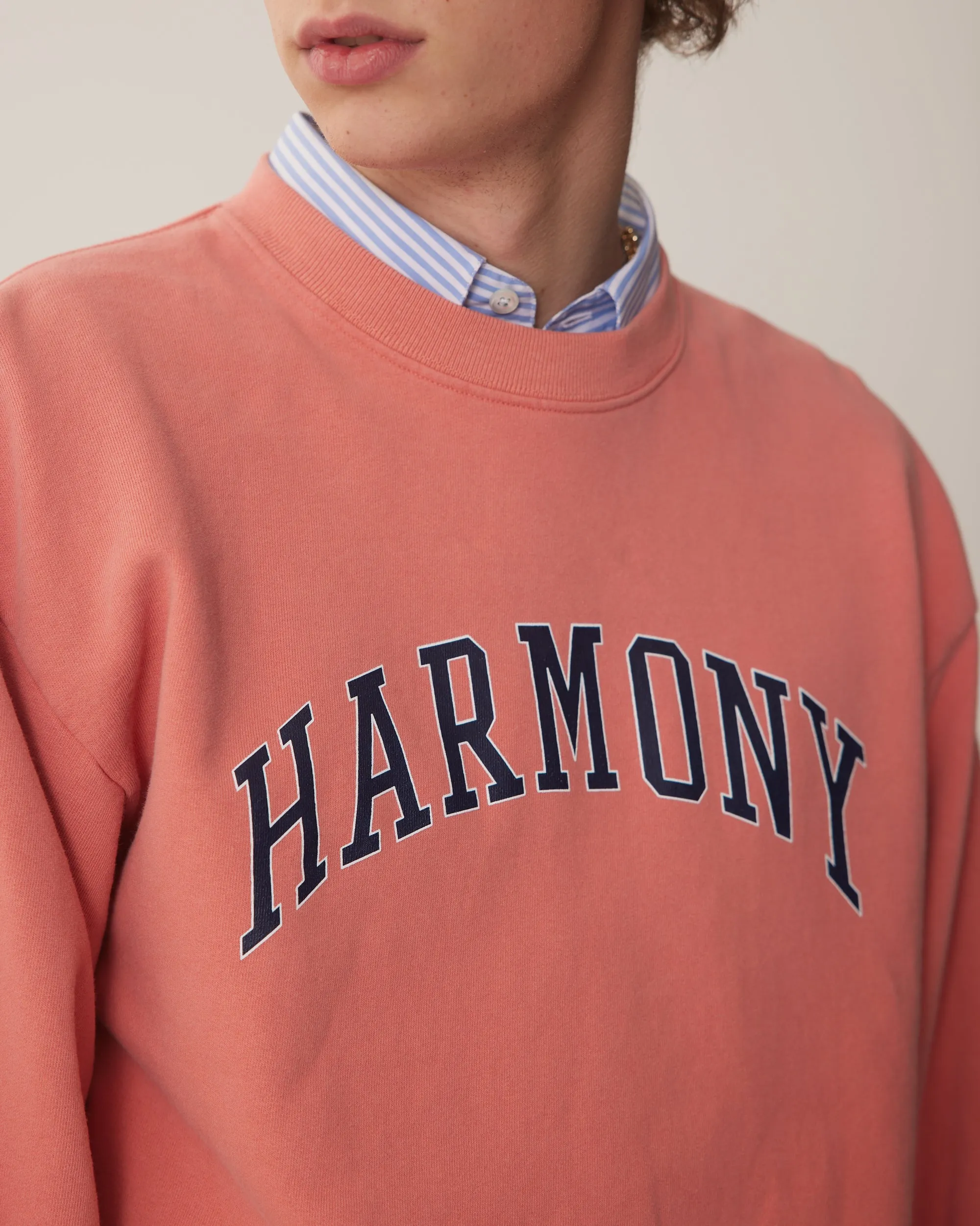 Sael University - Cranberry - Cotton Jersey