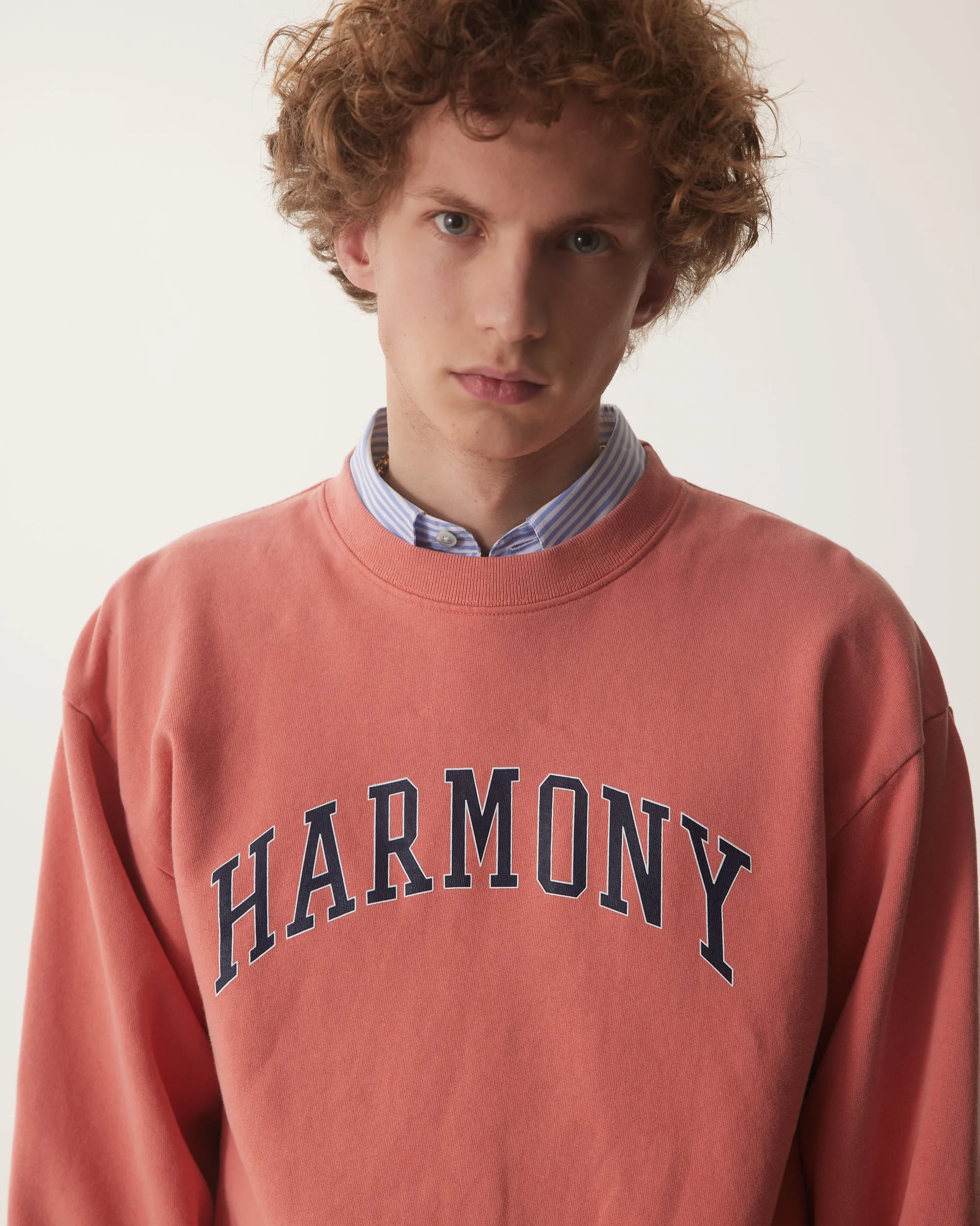 Sael University - Cranberry - Cotton Jersey
