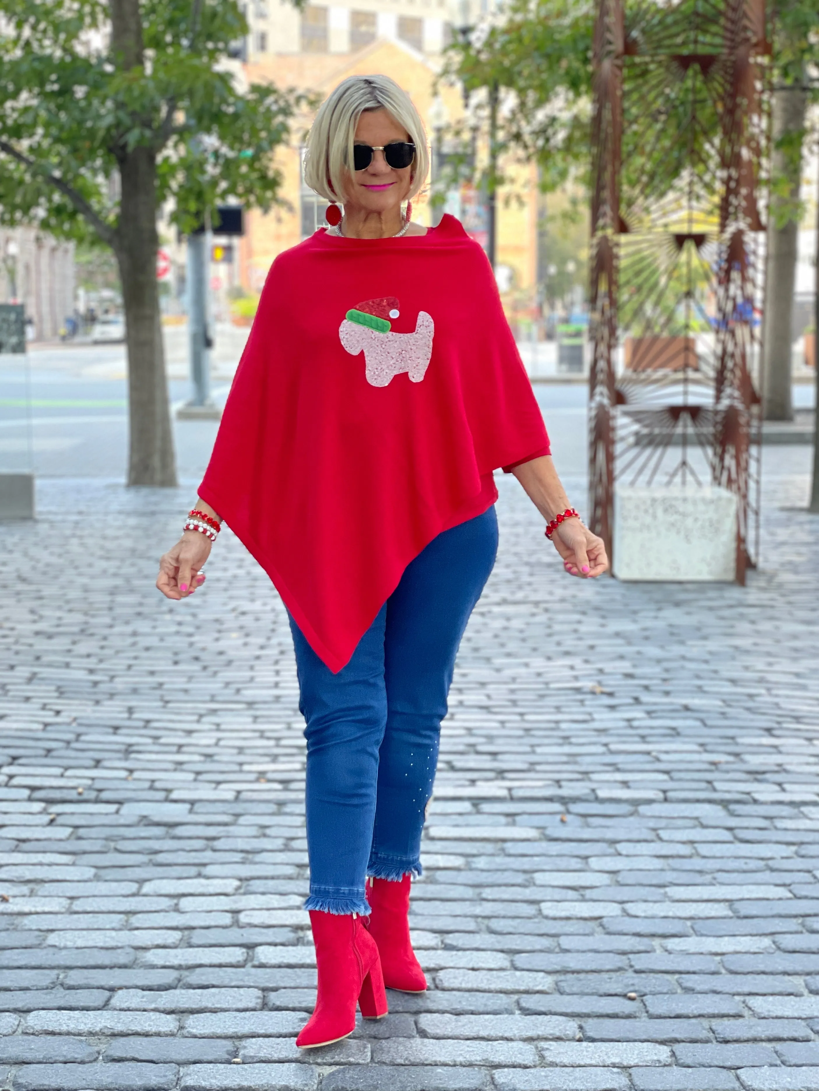 TEDDY CHRISTMAS PUPPY PONCHO